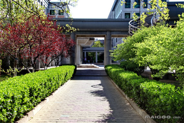 美债收益率涨跌不一,10年期美债收益率跌137个基点