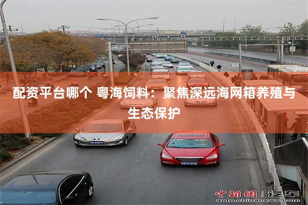 配资平台哪个 粤海饲料：聚焦深远海网箱养殖与生态保护