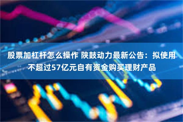 股票加杠杆怎么操作 陕鼓动力最新公告：拟使用不超过57亿元自有资金购买理财产品