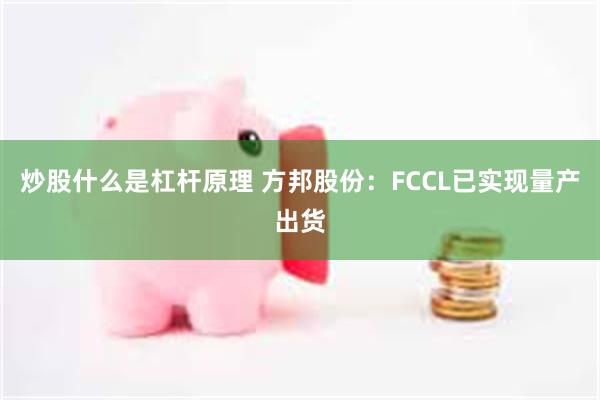 炒股什么是杠杆原理 方邦股份：FCCL已实现量产出货