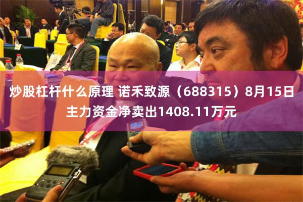 炒股杠杆什么原理 诺禾致源（688315）8月15日主力资金净卖出1408.11万元