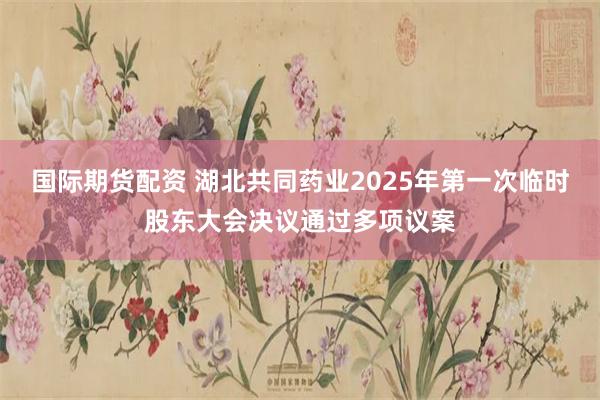 国际期货配资 湖北共同药业2025年第一次临时股东大会决议通过多项议案