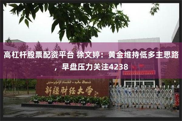 高杠杆股票配资平台 徐文婷：黄金维持低多主思路，早盘压力关注4238