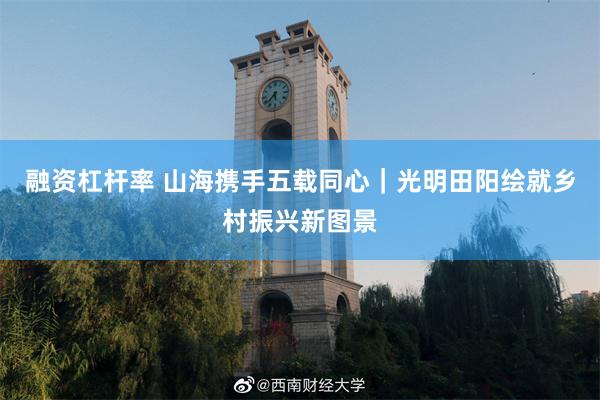 融资杠杆率 山海携手五载同心｜光明田阳绘就乡村振兴新图景