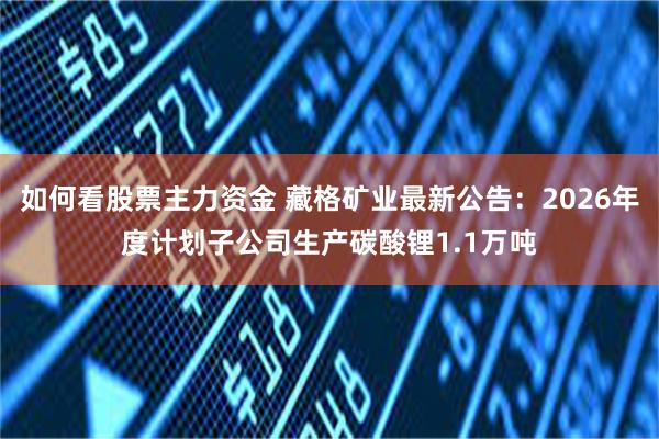 如何看股票主力资金 藏格矿业最新公告：2026年度计划子公司生产碳酸锂1.1万吨