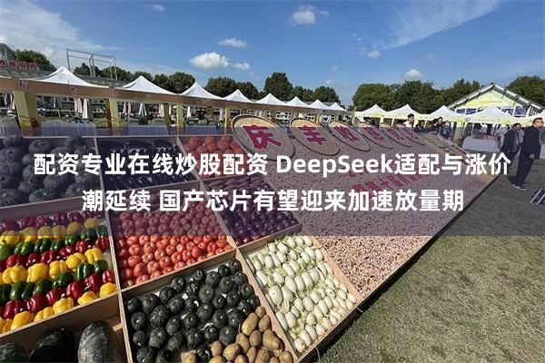 配资专业在线炒股配资 DeepSeek适配与涨价潮延续 国产芯片有望迎来加速放量期