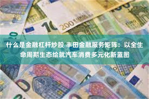 什么是金融杠杆炒股 丰田金融服务矩阵：以全生命周期生态绘就汽车消费多元化新蓝图