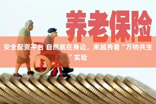 安全配资平台 自然就在身边，来越秀看“万物共生”实验
