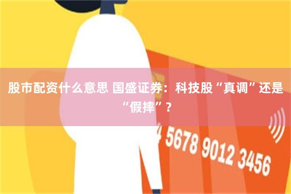 股市配资什么意思 国盛证券：科技股“真调”还是“假摔”？