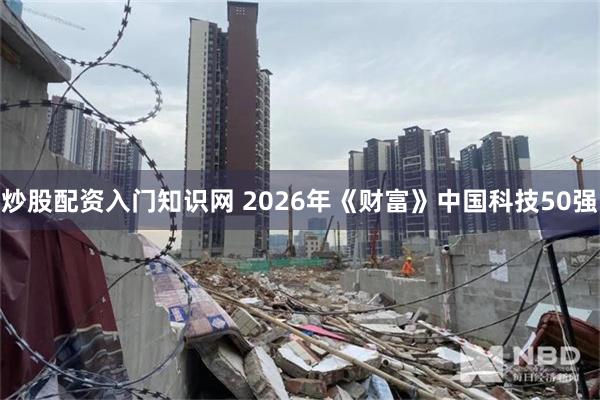 炒股配资入门知识网 2026年《财富》中国科技50强