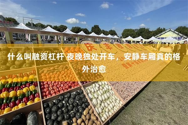 什么叫融资杠杆 夜晚独处开车，安静车厢真的格外治愈