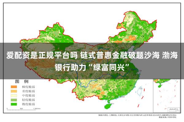 爱配资是正规平台吗 链式普惠金融破题沙海 渤海银行助力“绿富同兴”
