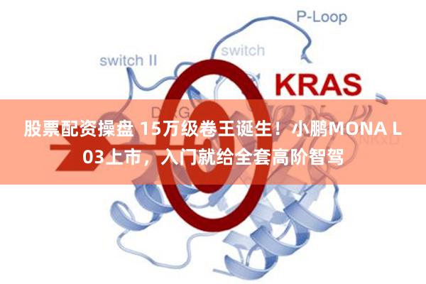 股票配资操盘 15万级卷王诞生！小鹏MONA L03上市，入门就给全套高阶智驾