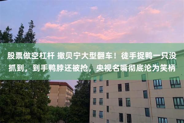 股票做空杠杆 撒贝宁大型翻车！徒手捉鸭一只没抓到，到手鸭脖还被抢，央视名嘴彻底沦为笑柄