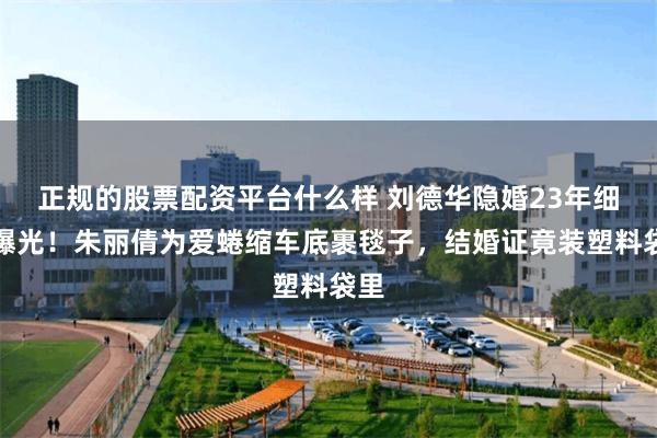 正规的股票配资平台什么样 刘德华隐婚23年细节曝光！朱丽倩为爱蜷缩车底裹毯子，结婚证竟装塑料袋里