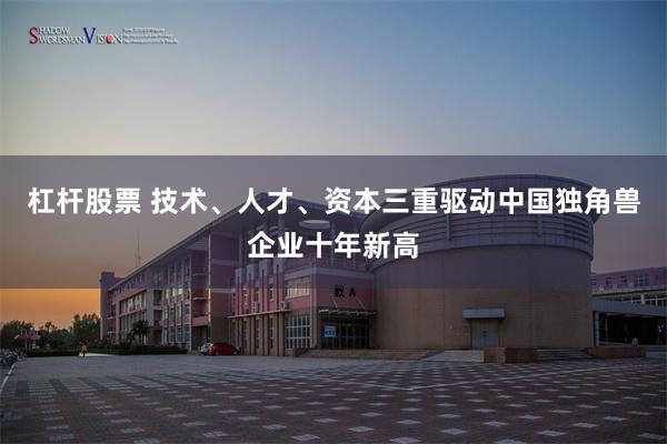 杠杆股票 技术、人才、资本三重驱动中国独角兽企业十年新高