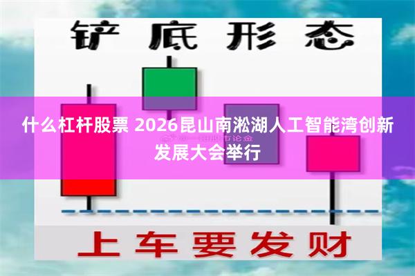 什么杠杆股票 2026昆山南淞湖人工智能湾创新发展大会举行