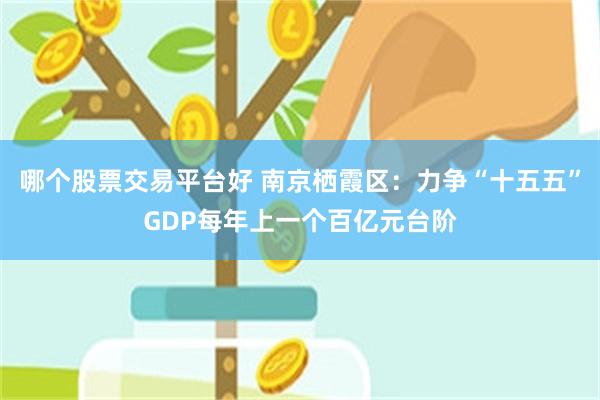 哪个股票交易平台好 南京栖霞区：力争“十五五”GDP每年上一个百亿元台阶