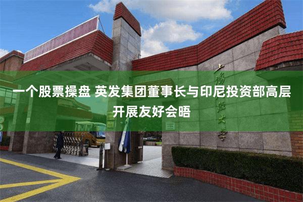 一个股票操盘 英发集团董事长与印尼投资部高层开展友好会晤