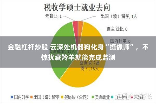 金融杠杆炒股 云深处机器狗化身“摄像师”，不惊扰藏羚羊就能完成监测