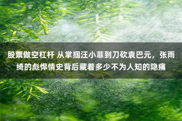 股票做空杠杆 从掌掴汪小菲到刀砍袁巴元，张雨绮的彪悍情史背后藏着多少不为人知的隐痛