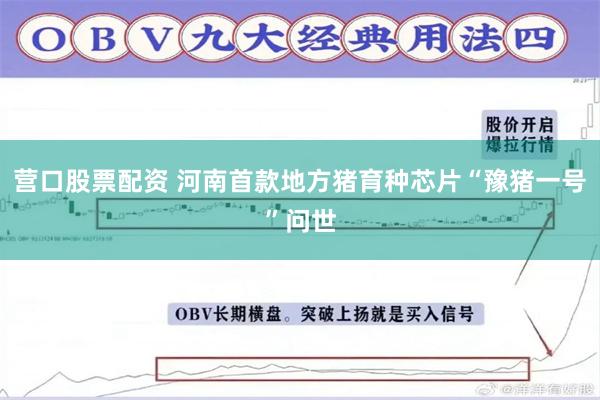营口股票配资 河南首款地方猪育种芯片“豫猪一号”问世