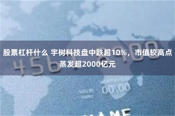 股票杠杆什么 宇树科技盘中跌超10%，市值较高点蒸发超2000亿元