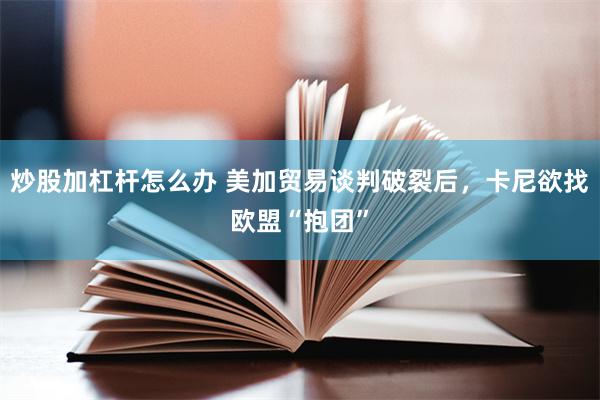 炒股加杠杆怎么办 美加贸易谈判破裂后，卡尼欲找欧盟“抱团”