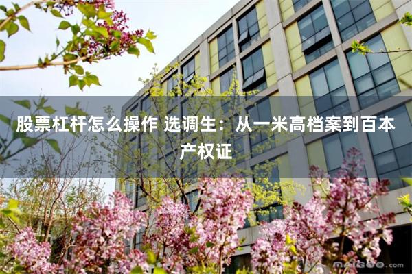 股票杠杆怎么操作 选调生：从一米高档案到百本产权证