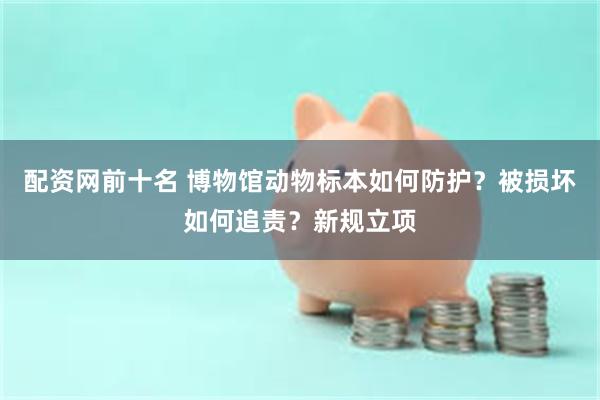 配资网前十名 博物馆动物标本如何防护？被损坏如何追责？新规立项