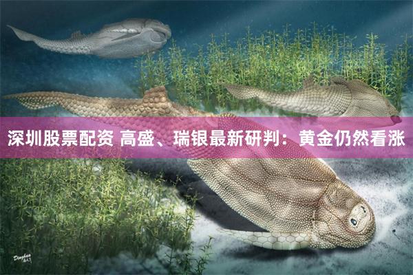 深圳股票配资 高盛、瑞银最新研判：黄金仍然看涨
