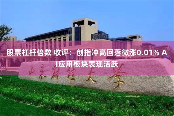 股票杠杆倍数 收评:创指冲高回落微涨0.01% AI应用板块表现活跃