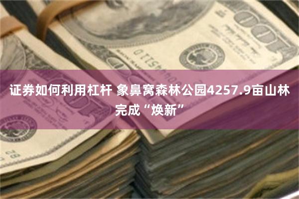 证券如何利用杠杆 象鼻窝森林公园4257.9亩山林完成“焕新”