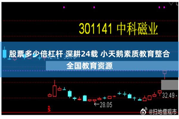 股票多少倍杠杆 深耕24载 小天鹅素质教育整合全国教育资源