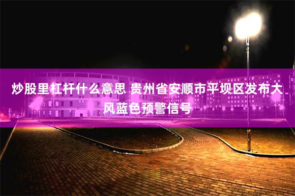 炒股里杠杆什么意思 贵州省安顺市平坝区发布大风蓝色预警信号