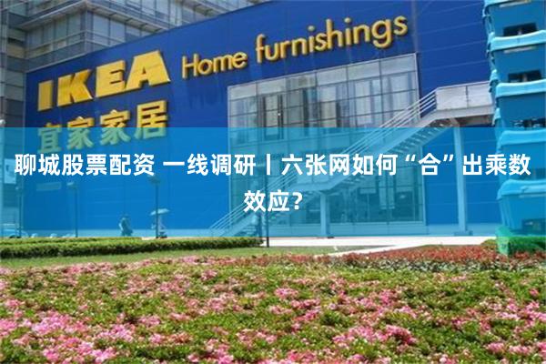 聊城股票配资 一线调研丨六张网如何“合”出乘数效应？