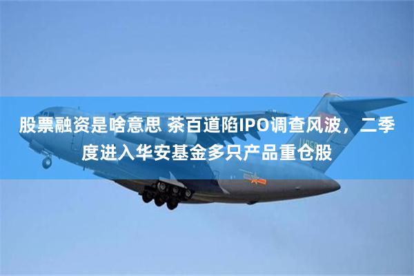 股票融资是啥意思 茶百道陷IPO调查风波，二季度进入华安基金多只产品重仓股